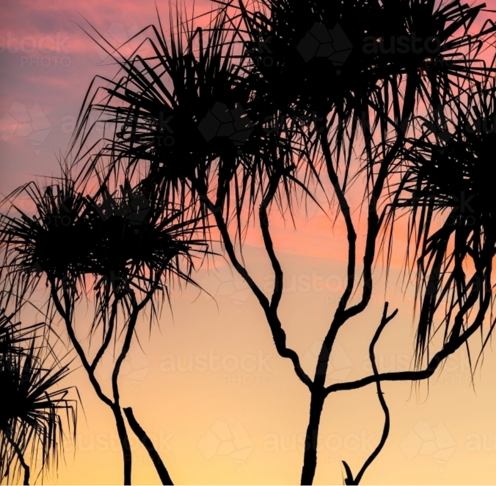 River pandanus Kimberley tea towel