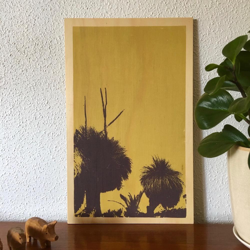 Photo of Western Australian grass trees screenprinted on plywood.