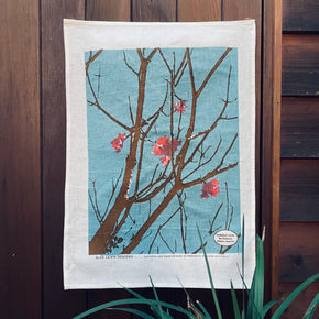 Sticky kurrajong Kimberley tea towel