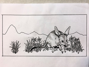 Bilby pencil case