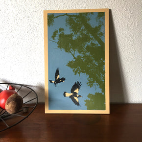 Magpies in flight on plywood