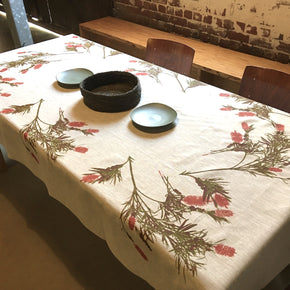 Callistemon tablecloth