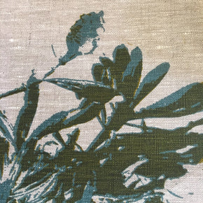 Photograph of a banksia branch screenprinted on placemats.