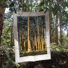 Photograph of a karri trees tea towel hanging in a karri forest.